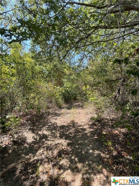 TBD Oak Mott Rd, Bruceville-Eddy, TX 76524 - photo 5