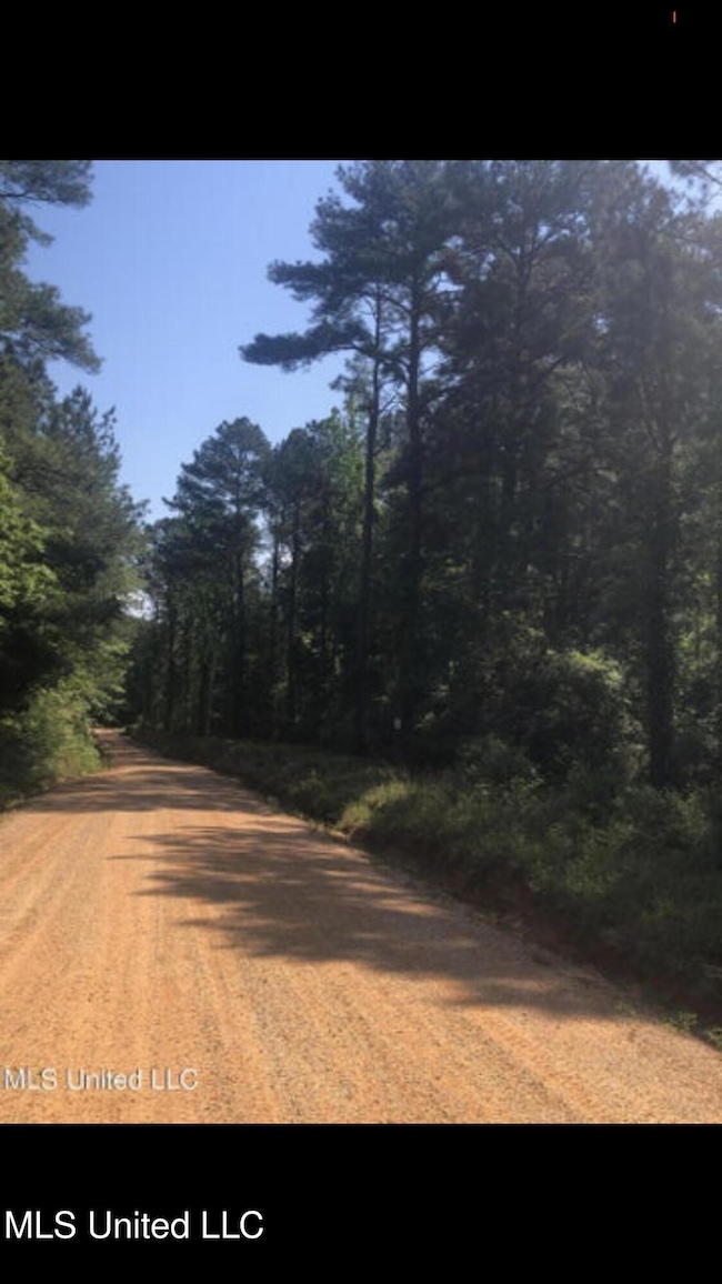 No Shows Rd, Waynesboro, MS 39367 - photo 5