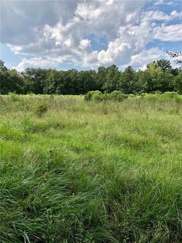 Parcel E Peters Rd, Madisonville, LA 70447 - photo 4