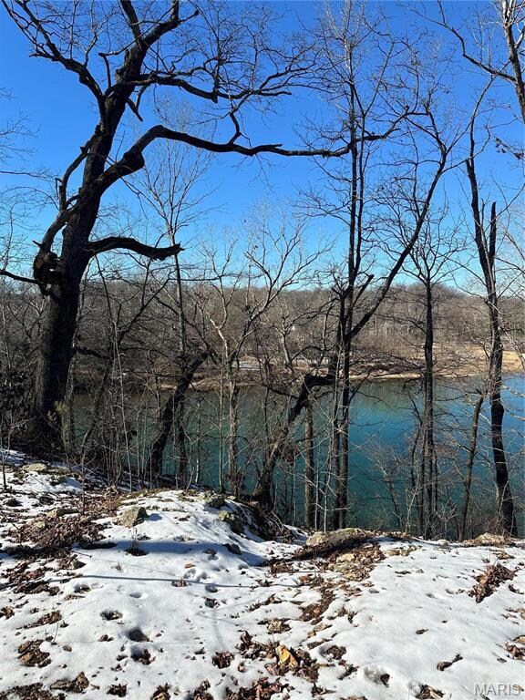 0 0 Ripley U-1a unit MAR25002541, Doniphan, MO 63935 - photo 2