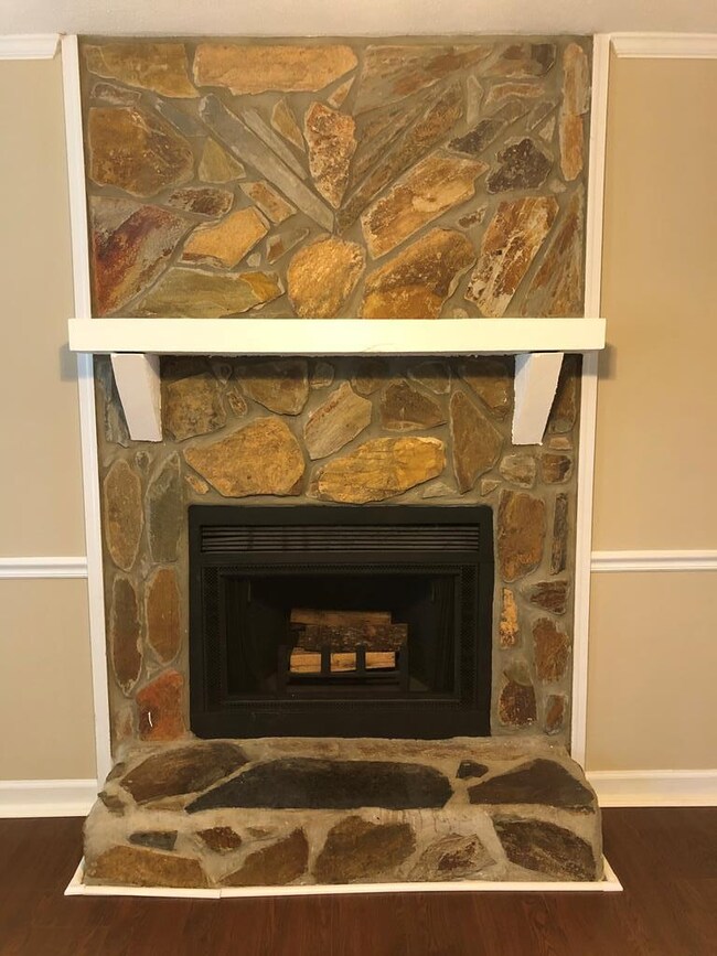 Wood burning fireplace
