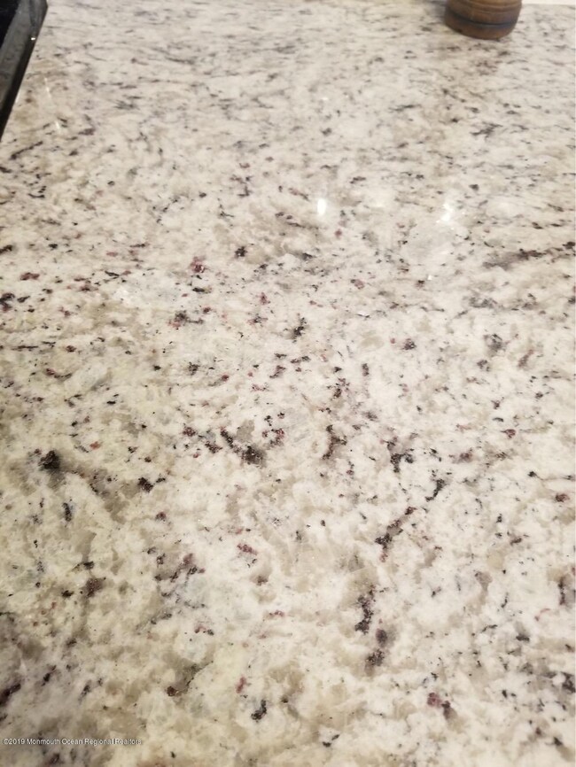 5 Chelsea Dr unit 70, Whiting, NJ 08759 - photo 5