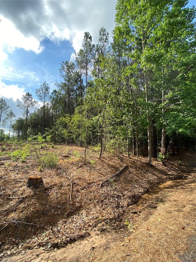 000 Old Plain Dealing Rd, Plain Dealing, LA 71064 - photo 4