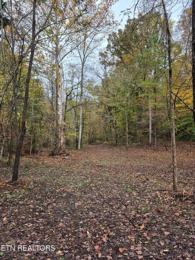 265 Jd Farm Rd, Tellico Plains, TN 37385 - photo 7