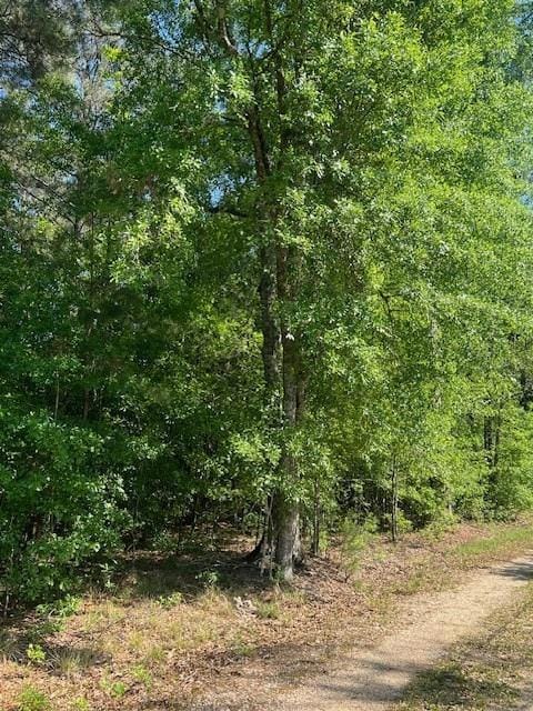 0 Raehyo Ln, Folsom, LA 70437 - photo 7