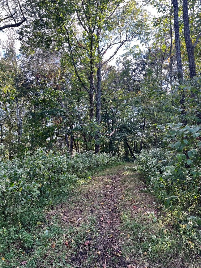 130 Swallows Ln, Cookeville, TN 38506 - photo 7