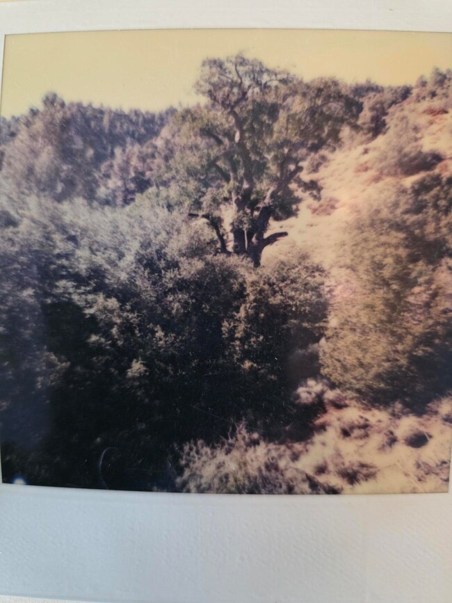 20250811_114403_resized