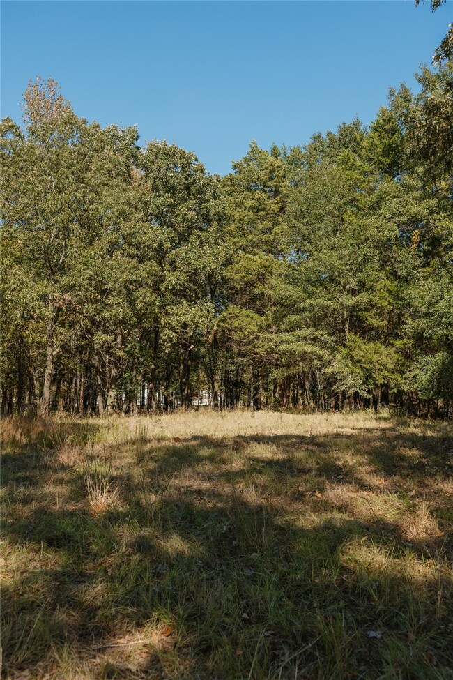 Lot 16 Private Road 5948, Yantis, TX 75497 - photo 5