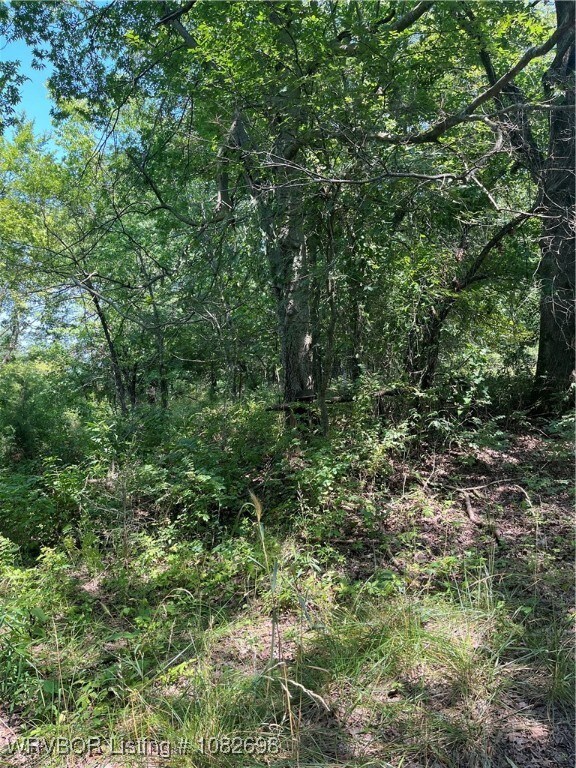 TBD E 233rd St S, Webbers Falls, OK 74470 - photo 3