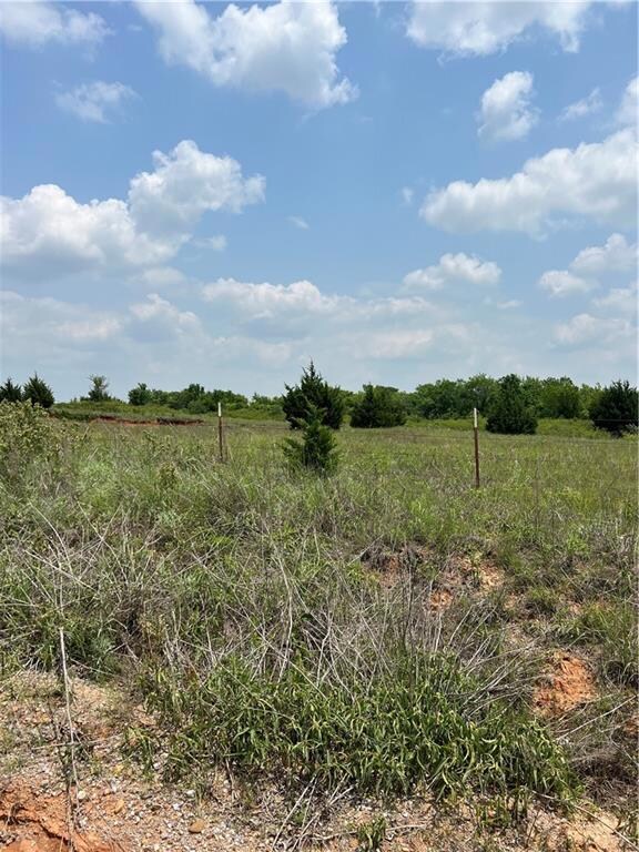 2950 Cr1310, Blanchard, OK 73010 - photo 7