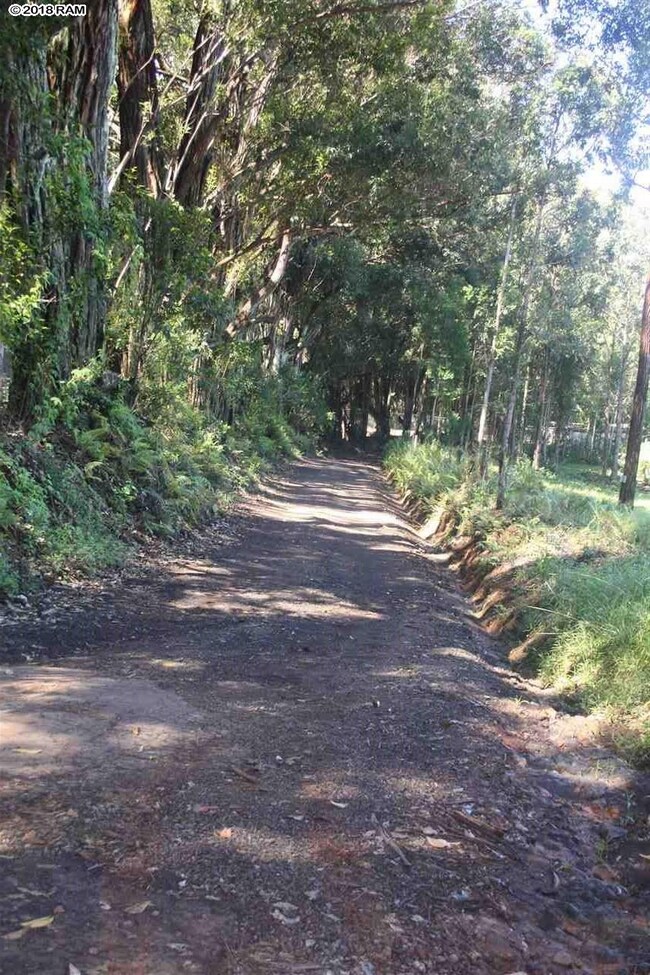 125 Ehu Rd unit E, Makawao, HI 96768 - photo 6