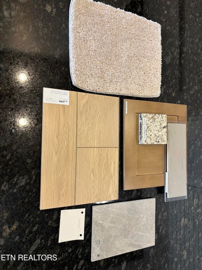 1922 Juniper Brush Rd, Knoxville, TN 37922 - photo 3