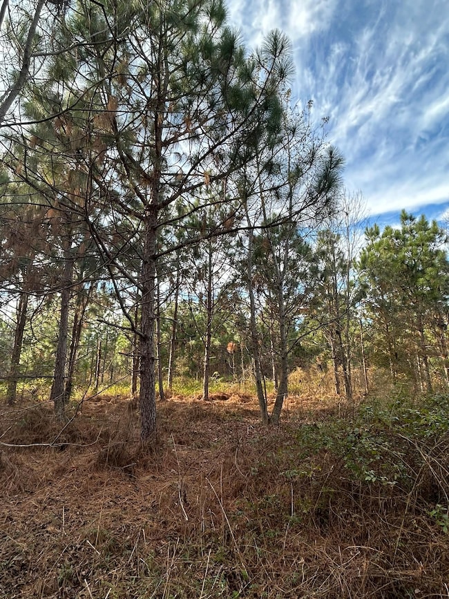 5733 County Road 30, Luverne, AL 36049 - photo 2