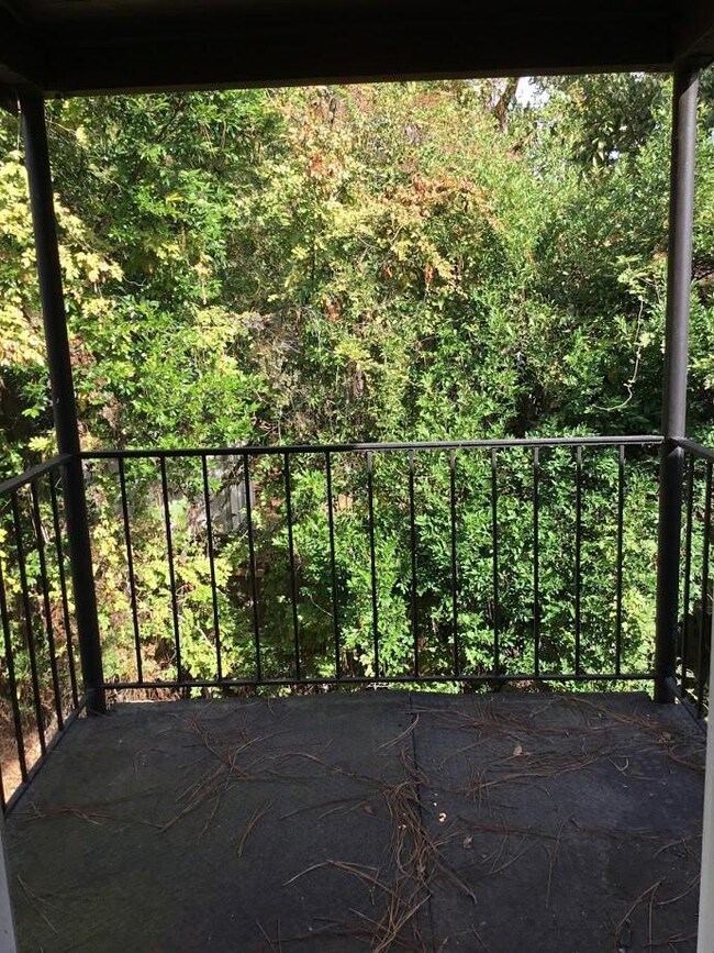 1648 Wycliffe St unit A, Augusta, GA 30904 - photo 5