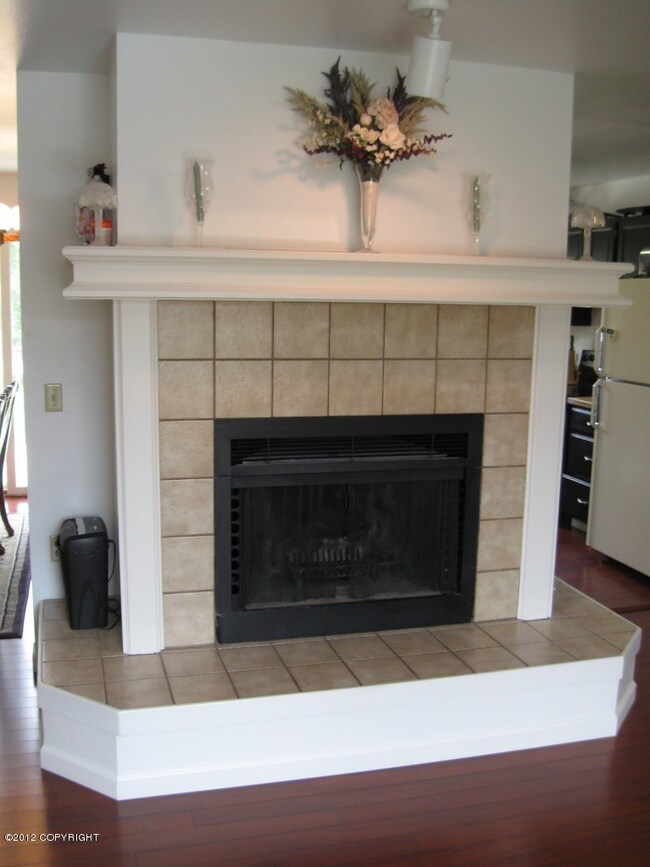Living Room Fire Place