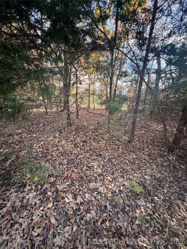 0030 Ruisdael Rd, Sand Springs, OK 74063 - photo 7