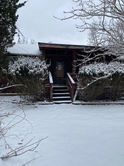 Front View