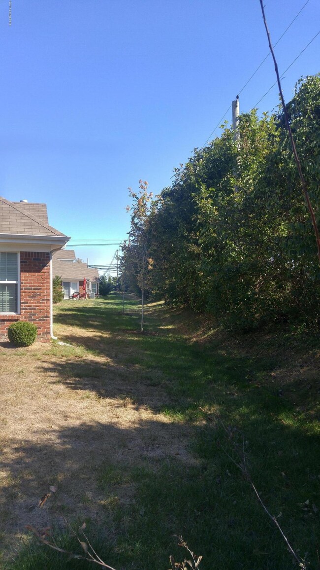 10712 Glenmary Springs Dr, Louisville, KY 40291 - photo 4