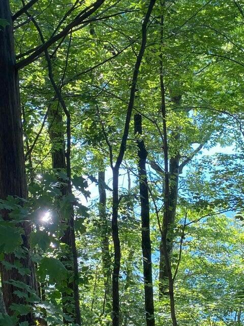 908 Stone Gate Dr, Burnside, KY 42519 - photo 3