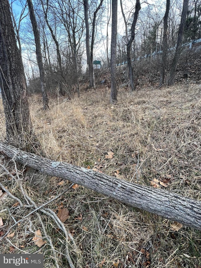 TBD Hummingbird Ln, Capon Bridge, WV 26711 - photo 4