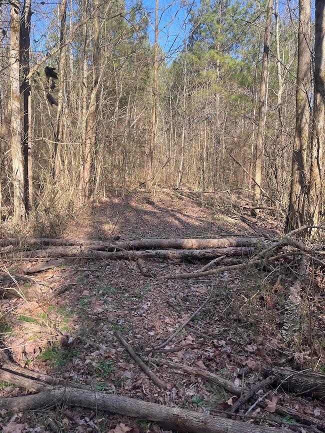 39 Quinton Rd, Rocky Face, GA 30740 - photo 4