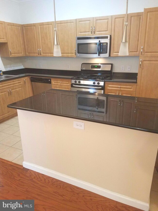 Bryson At Woodland Park unit 103, Herndon, VA 20171 - photo 6