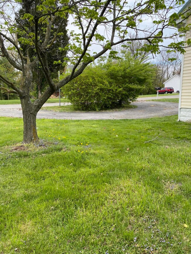 6001 Bardstown Rd, Louisville, KY 40291 - photo 4