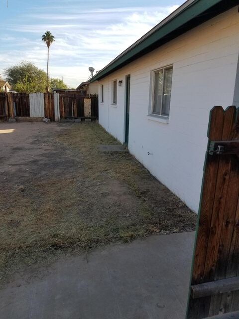 Lewis - Backyard