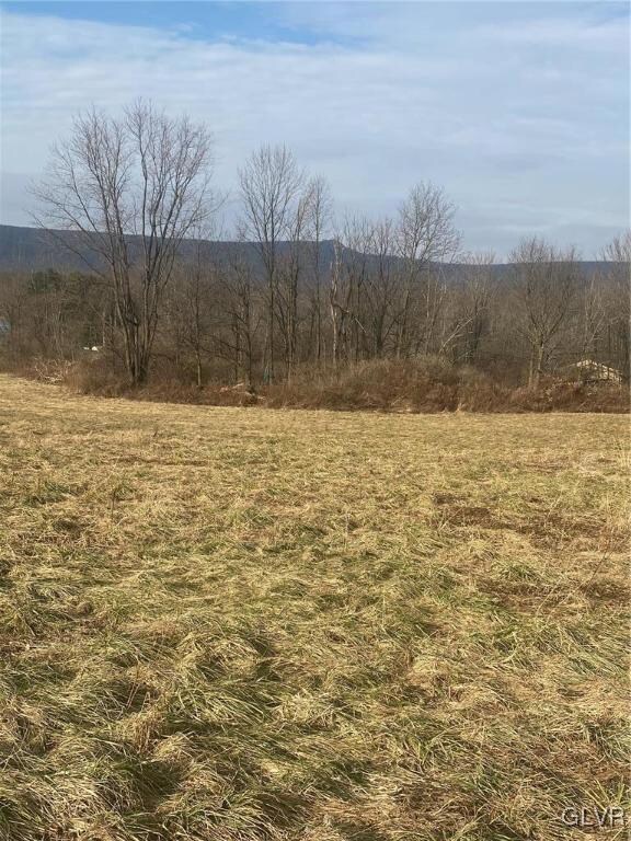 6070 Mantz Rd, Heidelberg Township, PA 18053 - photo 5