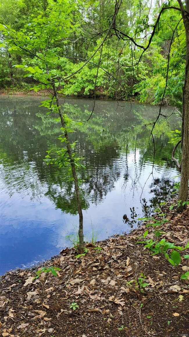 10059 133-203n, Union Township, MO 65459 - photo 3