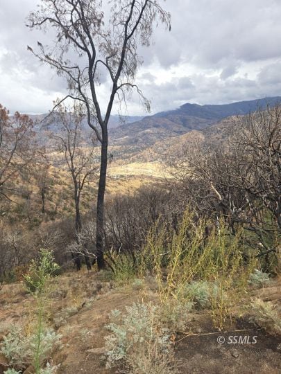 Views from the property