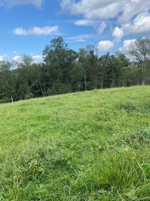 TBD Cornerstone Rd, Independence, VA 24348 - photo 7