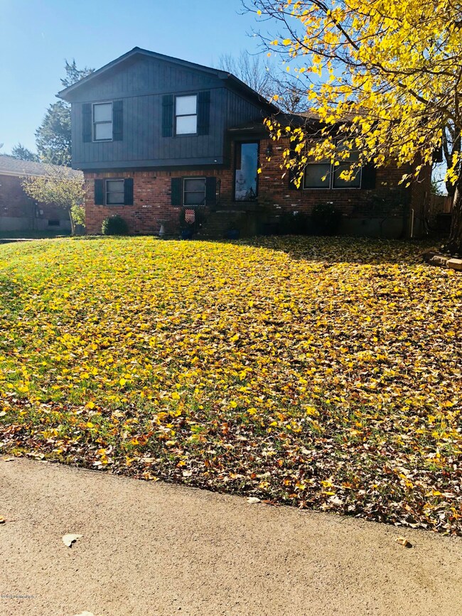 572E1387-4E4B-4872-B5AC-08457639B8D6