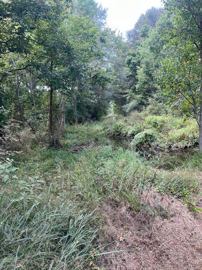 0 George Boutwell Rd, Ovett, MS 39464 - photo 5