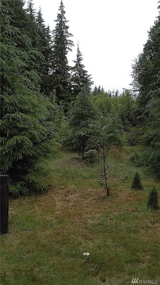 20905 Lake Riley Rd, Arlington, WA 98223 - photo 2