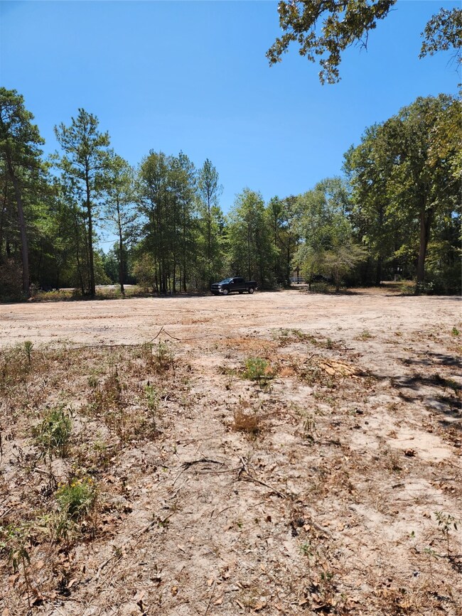 26425 Joseph Rd, Hockley, TX 77447 - photo 5