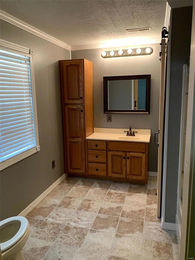 430 County Road 475, Poplar Bluff, MO 63901 - photo 7