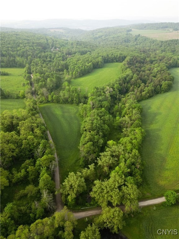 0 Searls Rd unit S1612623, Cortland, NY 13045 - photo 5