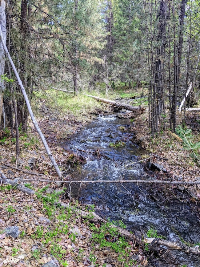 NHN Little Deer Dr, Plains, MT 59859 - photo 2