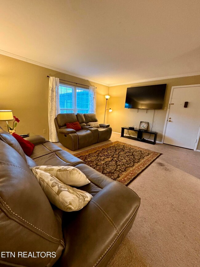 900 Mountain Creek Rd unit S370, Chattanooga, TN 37405 - photo 5