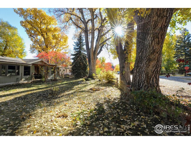 7915 Neva Rd, Niwot, CO 80503 - photo 4