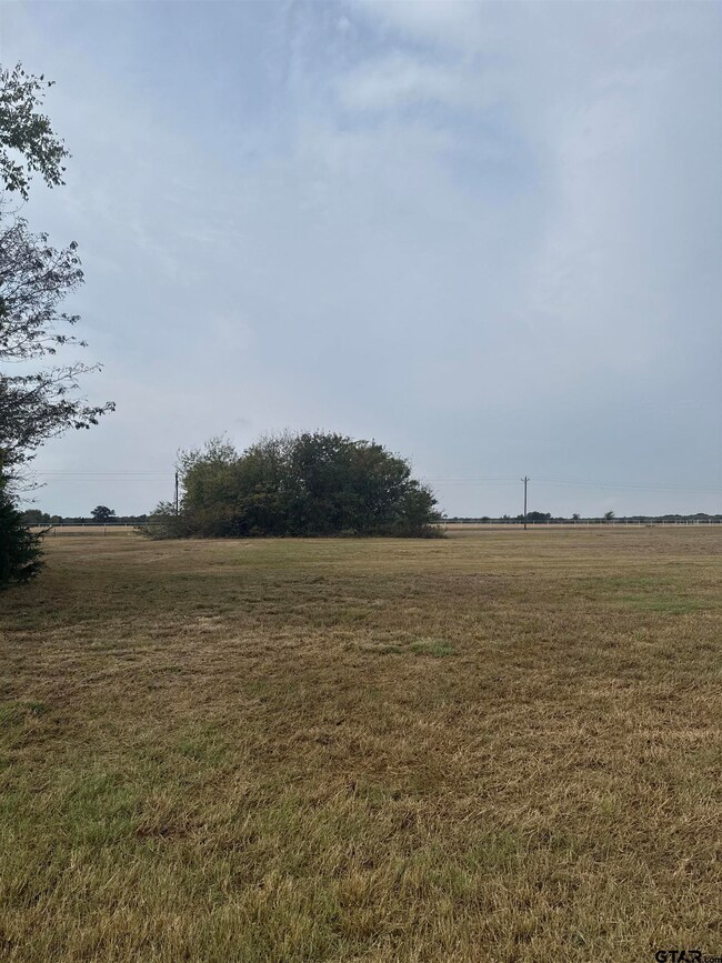 Lot 45 Canal St, Corsicana, TX 75109 - photo 4