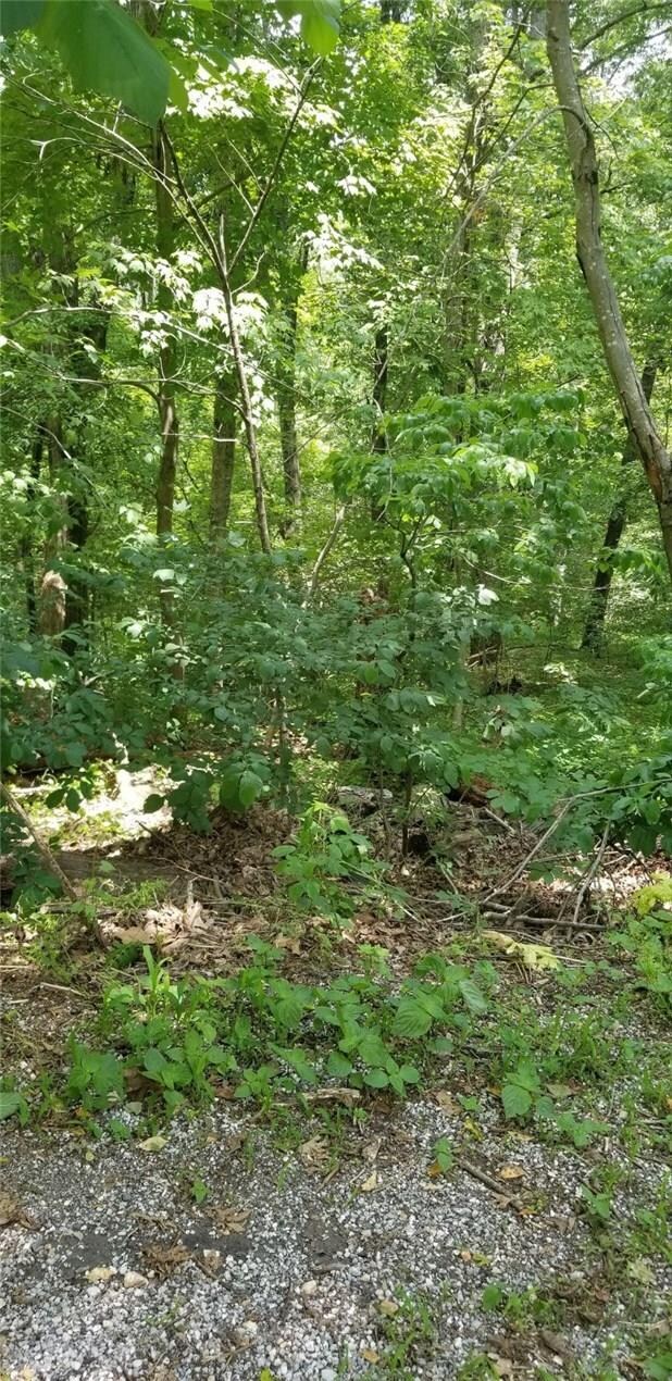 0 Kevin Ln unit 1148645, Bella Vista, AR 72715 - photo 2