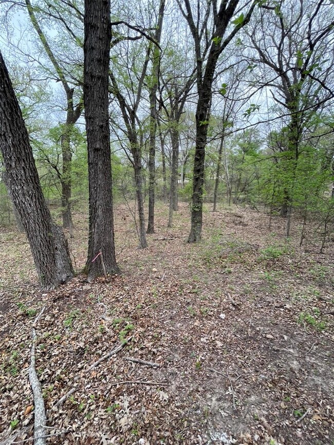 4028 Fall Creek Dr, Brock, TX 76087 - photo 5