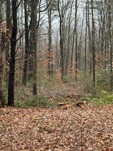 0 Wendell Depot Rd, Wendell, MA 01379 - photo 2