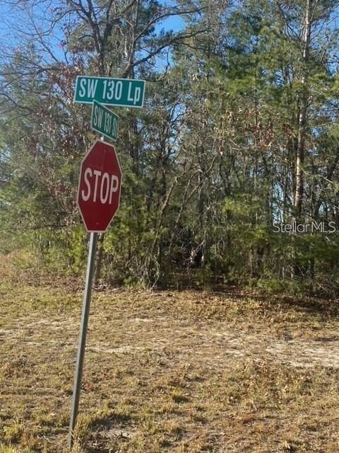 000 SW 130th Loop, Ocala, FL 34473 - photo 2