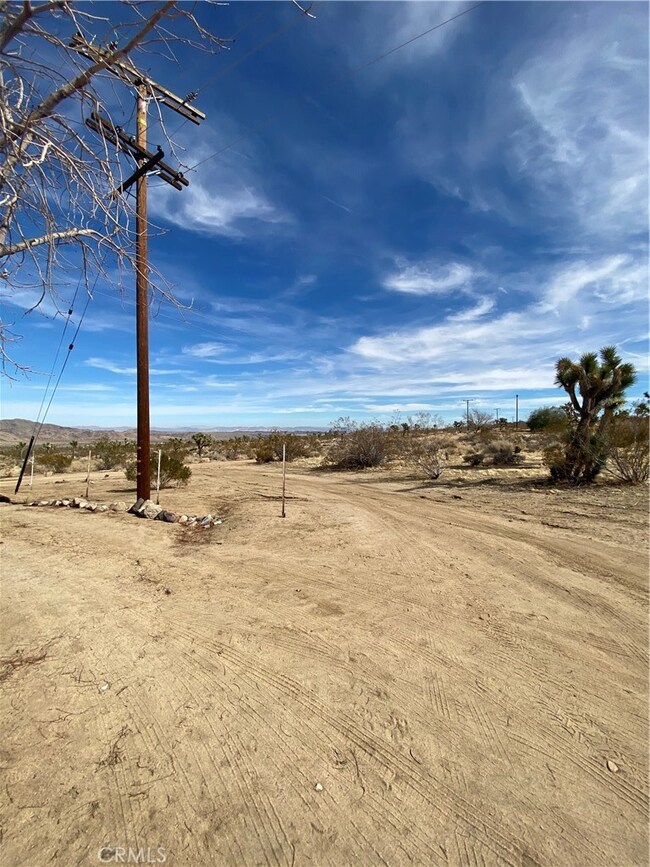 59943 Melton Trail, Joshua Tree, CA 92252 - photo 6