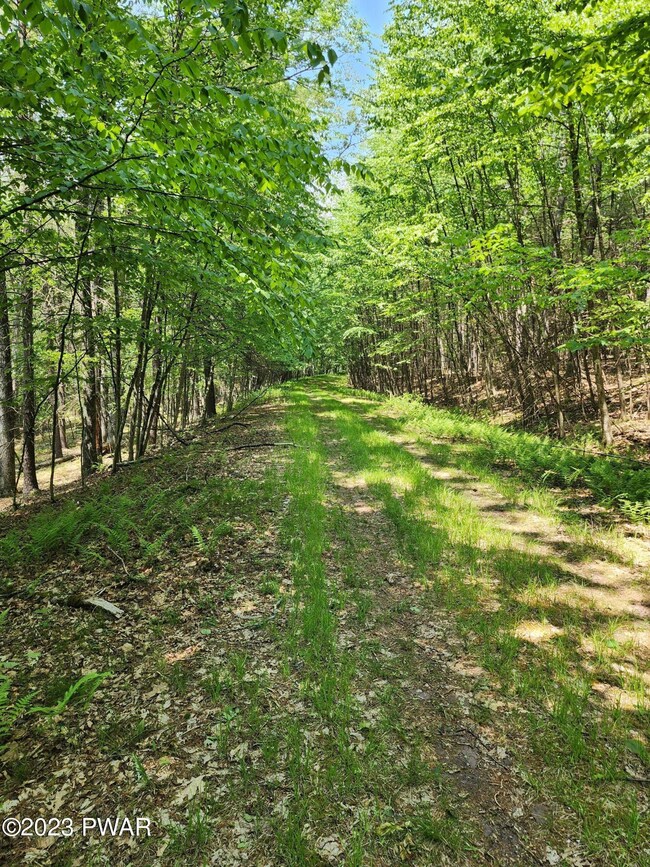 0 Lots 387 & 388 Creek Ct unit PWBPW231745, Hawley, PA 18428 - photo 3