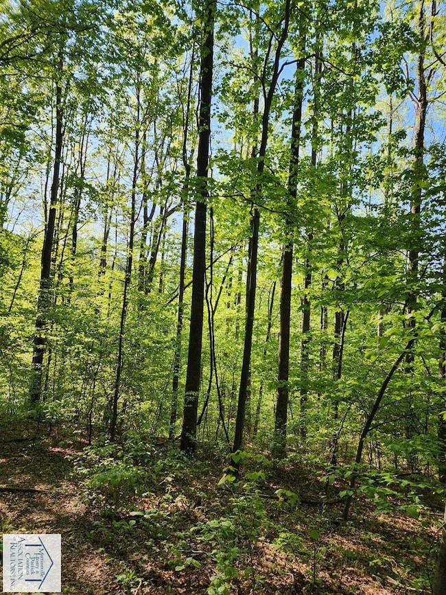 00 Woolwine Hwy, Woolwine, VA 24185 - photo 3