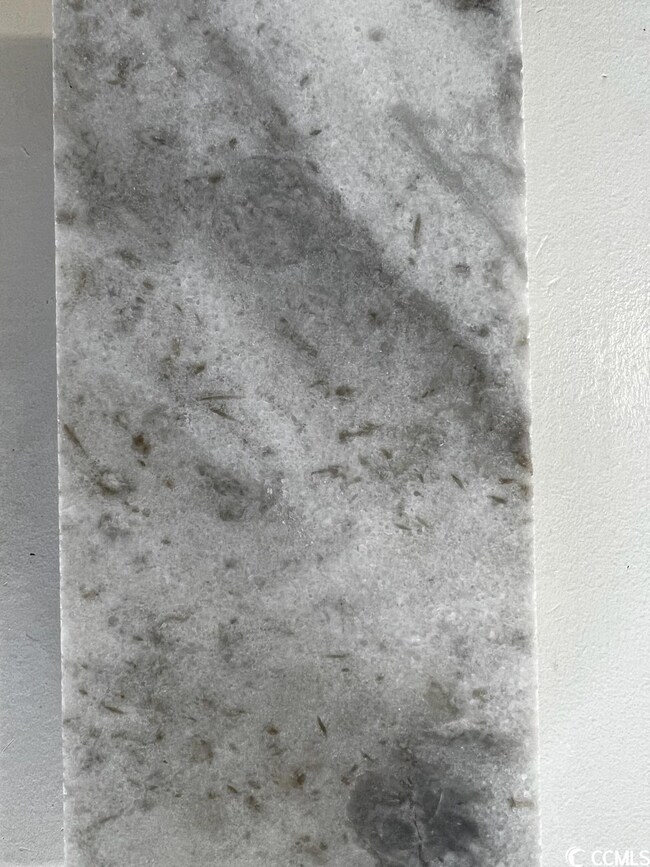 7696 Hunting Swamp Rd unit Tupelo II, Conway, SC 29527 - photo 4